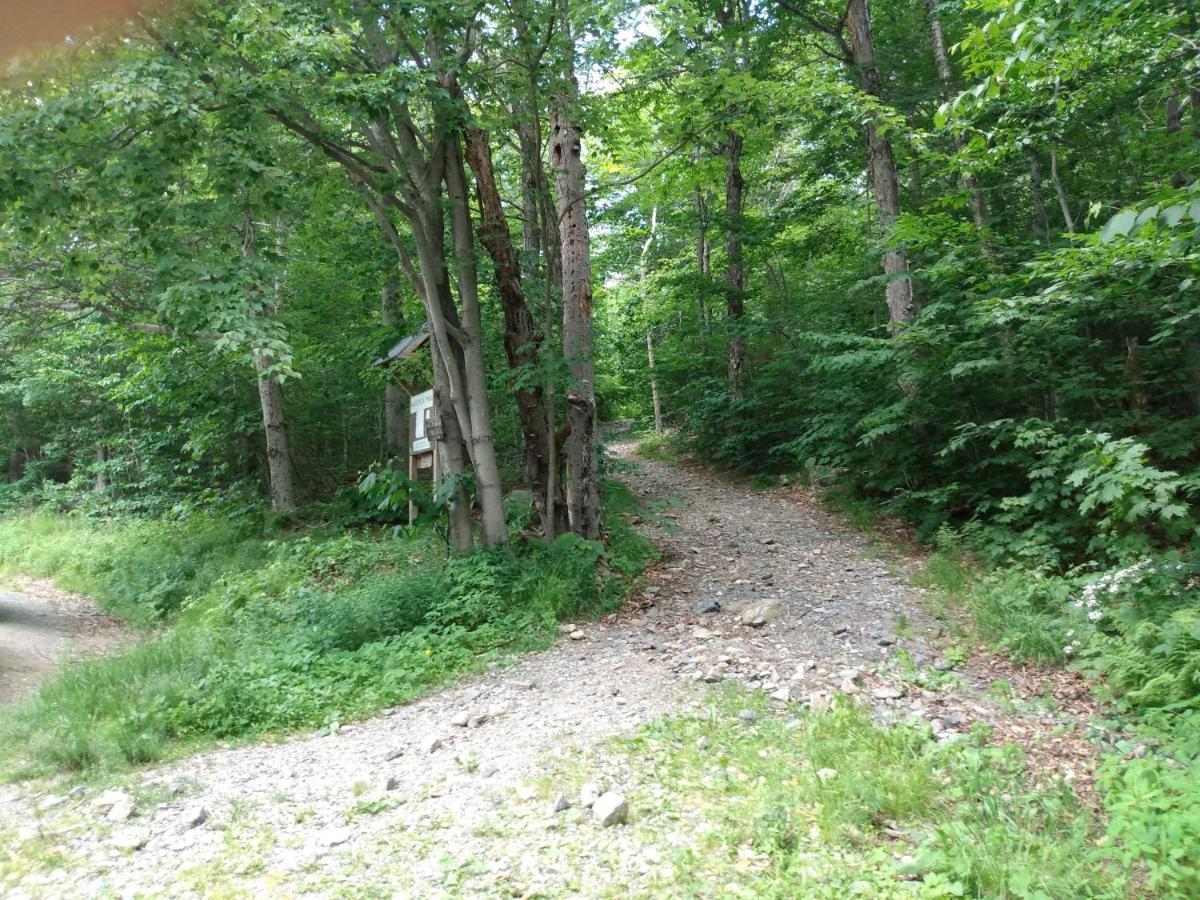 윌밍턴 Mountain Retreat 빌라 외부 사진